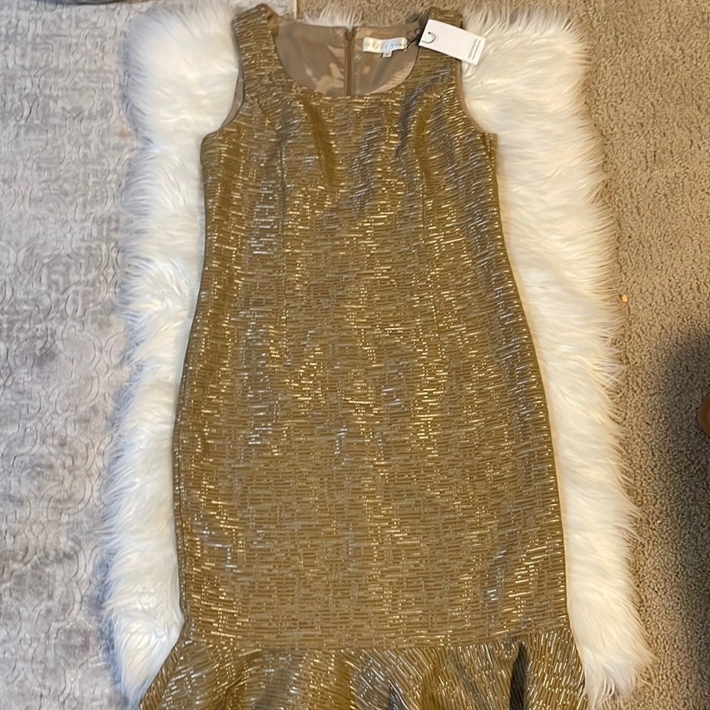 L- Miller SHOR dress